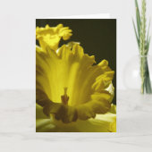Carte Fleurs jonquilles jaunes (Devant)