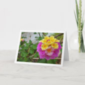 Carte Fleurs Lantana roses et jaunes (Devant)