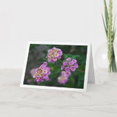 Carte Fleurs Lantana violettes et jaunes (Devant)