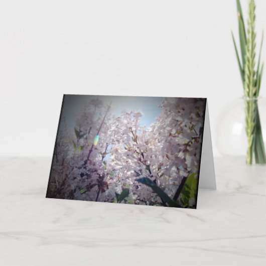 Carte Fleurs Lilac (Devant)
