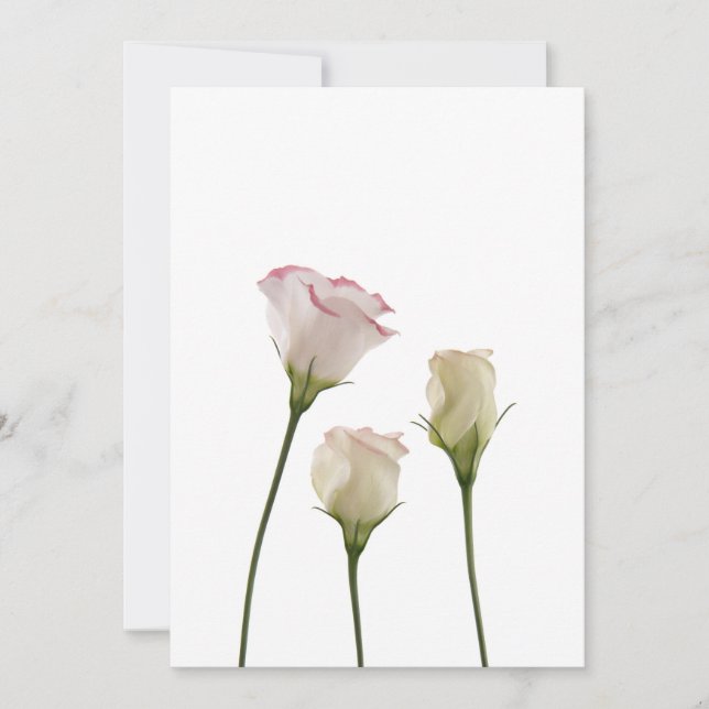Carte fleurs lisianthus blanches, trio (Devant)