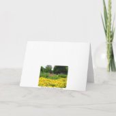 Carte Fleurs mélangées de jardin (Dos)