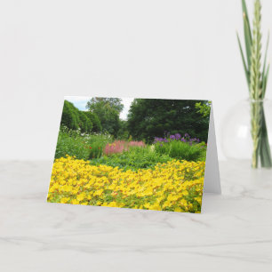 Carte Fleurs mélangées de jardin