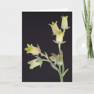 Carte Fleurs minuscules pendant le Carême