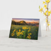 Carte Fleurs | Mountain Meadow Crested Butte Colorado (Fleur jaune)