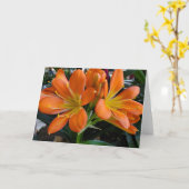 Carte Fleurs orange (Fleur jaune)