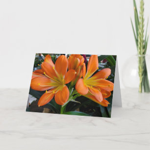 Carte Fleurs orange