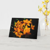 Carte Fleurs orange (Fleur jaune)