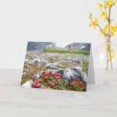 Carte Fleurs parmi des roches (Fleur jaune)