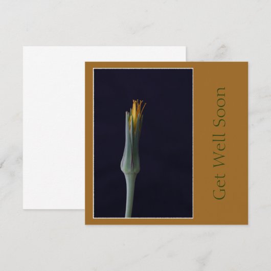 Carte Fleurs pour un prompt rétablissement Tons brun dor (Devant / Derrière)