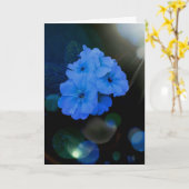 Carte fleurs Primroses en bleu (Fleur jaune)