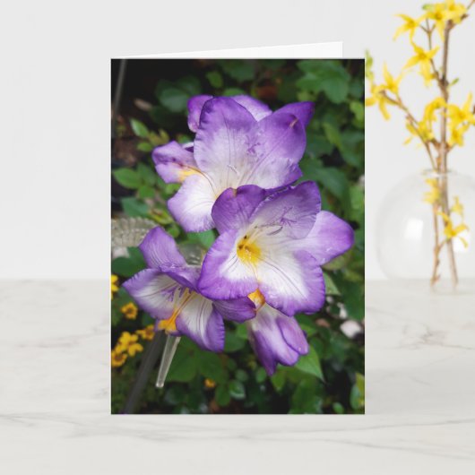Carte Fleurs Purple Freesia (Fleur jaune)