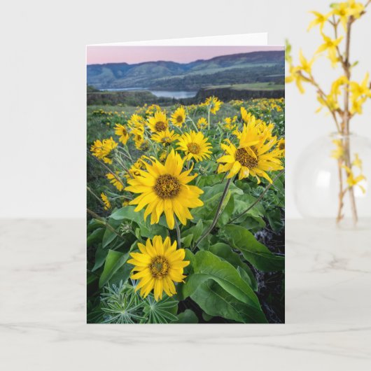 Carte Fleurs | Rivière Balsomroot Columbia, Oregon (Fleur jaune)