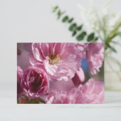 Carte Fleurs roses (Debout devant)