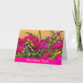Carte Fleurs roses chaudes - Curacao (Devant)