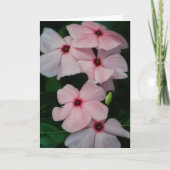 Carte Fleurs roses Floral Art Blank Note Card (Devant)