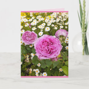 Carte Fleurs roses florale Rose Roses Marguerite salutat