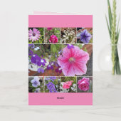 Carte Fleurs roses Rose Floral Petunia Daisy Se Bien (Dos)