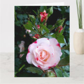 Carte Fleurs roses, Roses Blanches Rouge Rose (Devant)