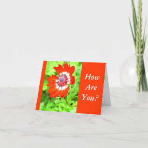 CARTE FLEURS ROUGES ET BLANCHES/ COMMENT ÊTES-VOUS ? (PE