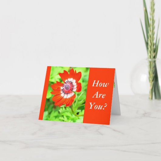 CARTE FLEURS ROUGES ET BLANCHES/ COMMENT ÊTES-VOUS ? (PE (Devant)