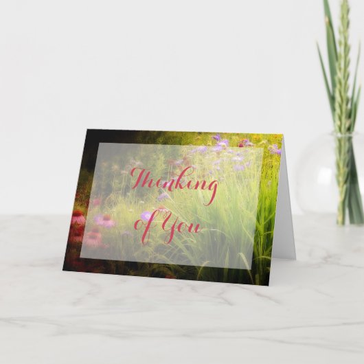 Carte Fleurs Sauvages (Devant)