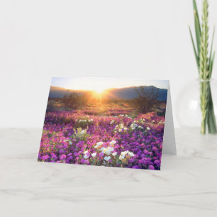 Carte Fleurs sauvages au coucher du soleil   Désert d'An