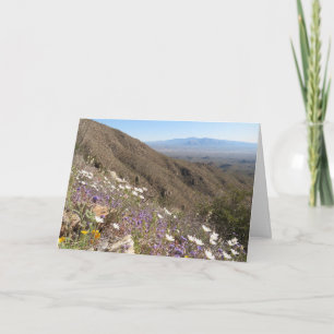 Carte Fleurs sauvages au Parc national de Saguaro I