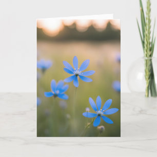 Carte Fleurs sauvages bleus en campagne pour la sympathi