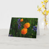 Carte Fleurs sauvages dans le comté de Sonoma (Fleur jaune)