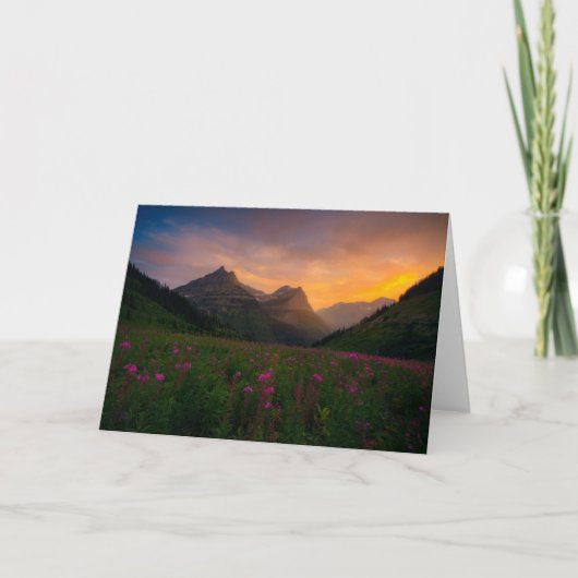 Carte Fleurs sauvages de glacier (Devant)