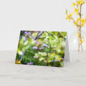 Carte Fleurs sauvages de montagne (Fleur jaune)