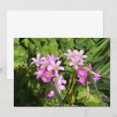 Carte Fleurs sauvages de printemps rose délicats (Devant / Derrière)