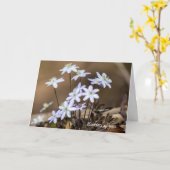 Carte Fleurs sauvages de printemps violet (Fleur jaune)