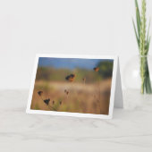 Carte Fleurs sèches dans le paysage de terrain (Devant)