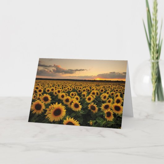 Carte Fleurs | Terrain de tournesol (Devant)