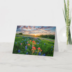 Carte Fleurs   Texas Bluebonnets & Indian Paintbrush