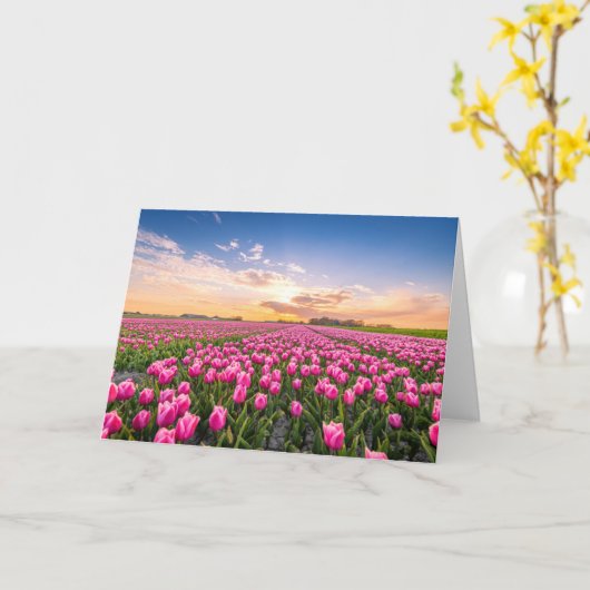 Carte Fleurs | Tulips Holland Sud, Pays-Bas (Fleur jaune)