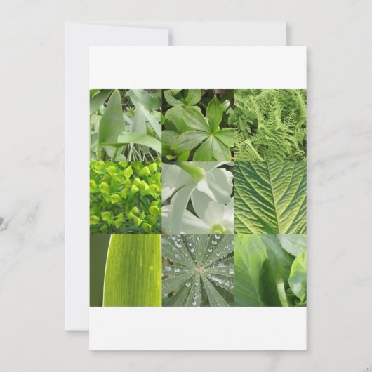 Carte Fleurs vertes (Devant)