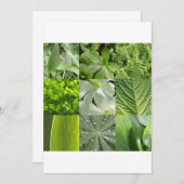 Carte Fleurs vertes (Devant / Derrière)