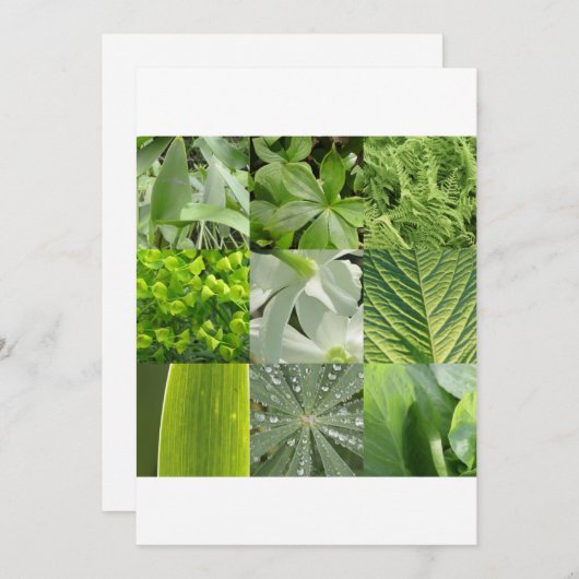 Carte Fleurs vertes (Devant / Derrière)