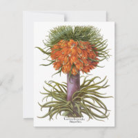 Fleurs vintages de Fritillaria par Basilius Besler