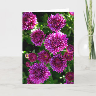 Carte Fleurs violettes