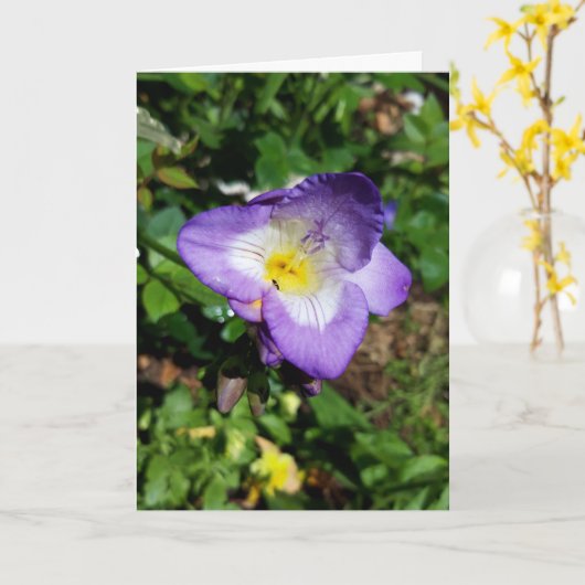 Carte Fleurs violettes de Freesia (Fleur jaune)