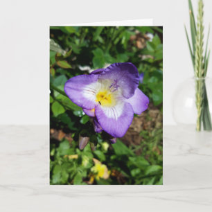 Carte Fleurs violettes de Freesia