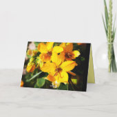Carte Fleurs vives (Dos)