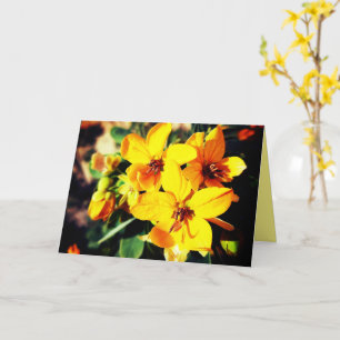 Carte Fleurs vives