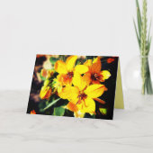 Carte Fleurs vives (Devant)