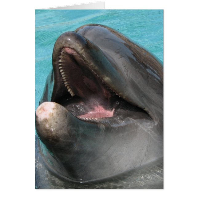 Carte Flipper (Devant)