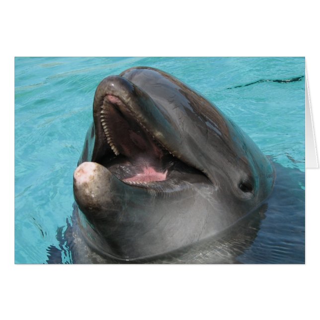 Carte Flipper (Devant horizontal)